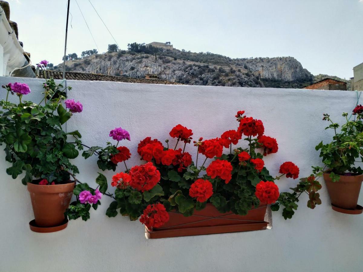Apartamento Entero "El Casco Antiguo" Vt-46811-V Xàtiva Exterior foto